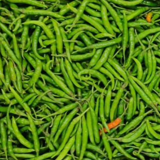 Green Chilli /Hari Mirchi/Pachi Mirapakaya