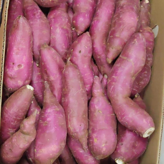 Indian Sweet Potato 