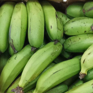 Large Raw Banana/Green Plantain 