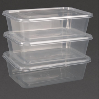 SATCO 650ml Plastic Containers & Lids -10pcs