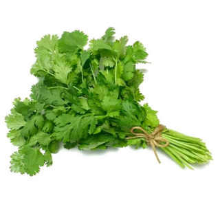 Cilantro Paquete