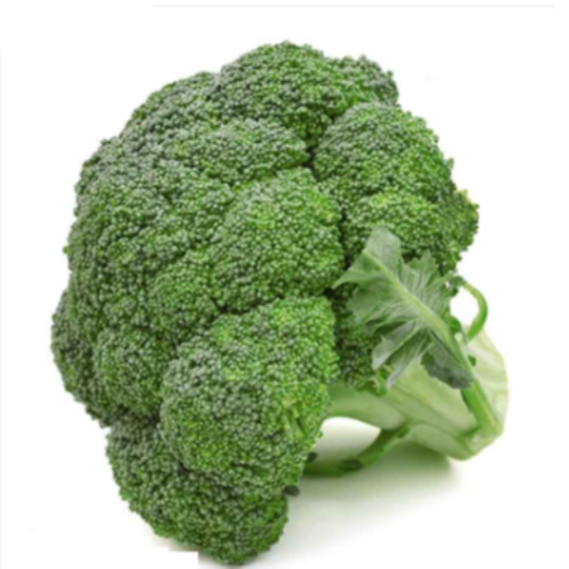 Brocoli x Und Main Image