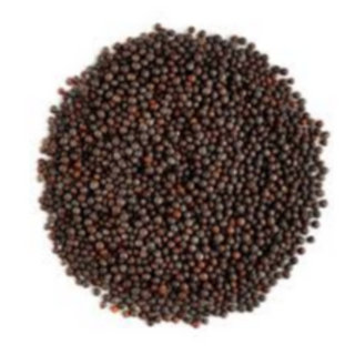 Mustard Seed