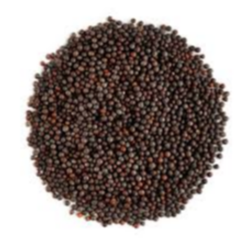 Mustard Seed Main Image