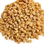 Fenugreek Seed Main Image