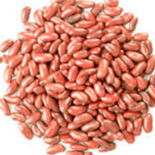 Red Light Kidney Beans 