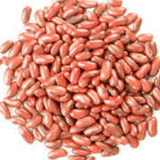 Red Light Kidney Beans  Main Image