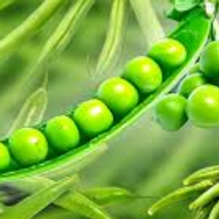 Frozen Green Peas