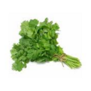 Coriander 1 Punch 