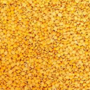  Moong Dal  Main Image