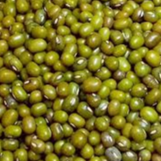 Moong Beans Celera, Berken Main Image