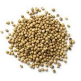 Coriander Seed 