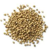 Coriander Seed  Main Image