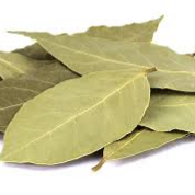 Bay Leaf 100g Main Image