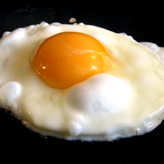 Fried Egg