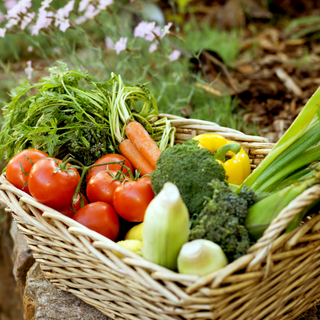 Weekly Vegetable Box - Subscription - 1 Box