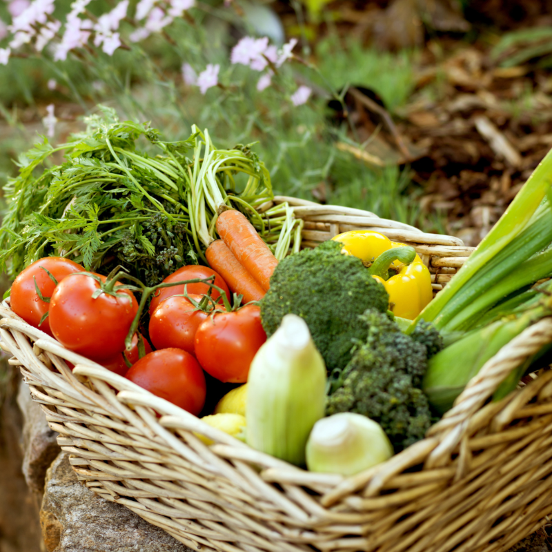 Weekly Vegetable Box - Subscription - 1 Box Main Image