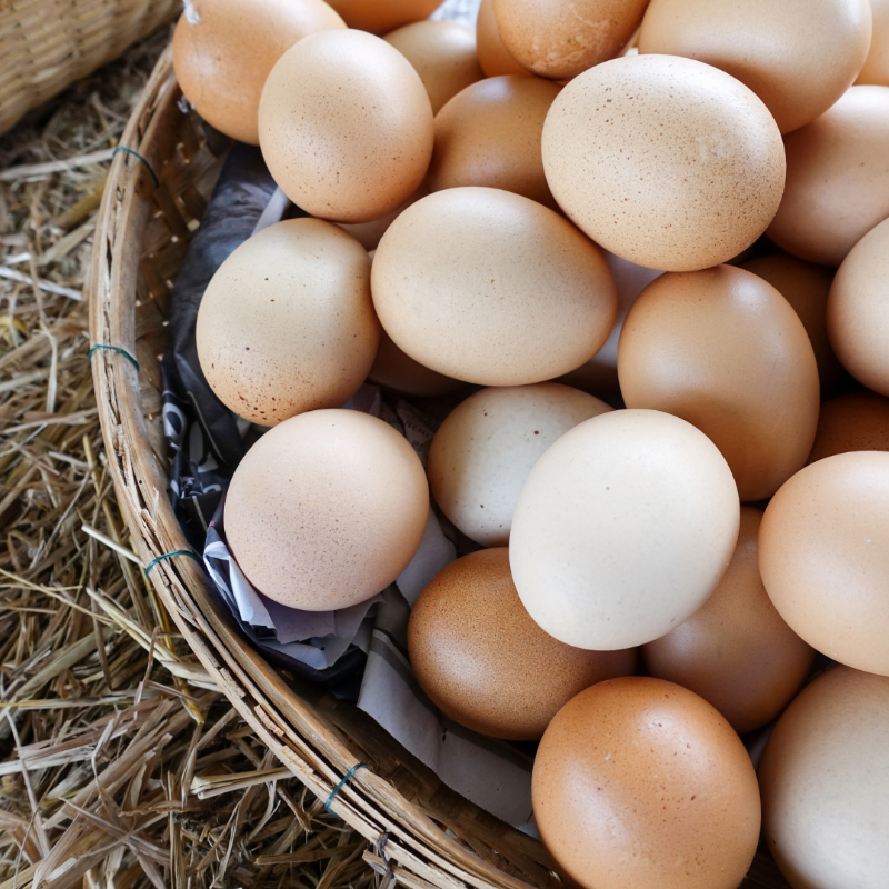 Farm Fresh Eggs (Pack of 12) Main Image