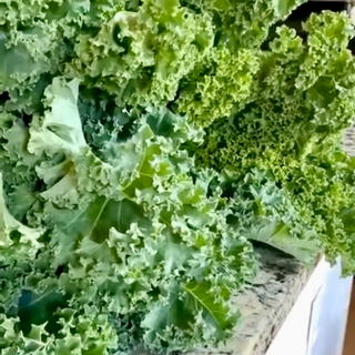 Bunch of Kale