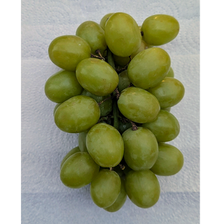 FP - Grapes - Green