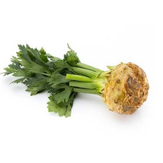 Celery Root