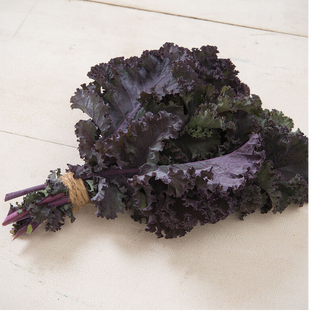 Kale Rouge (10 Stems)