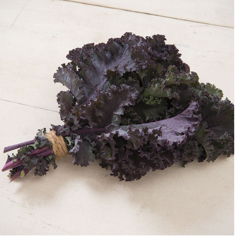 Kale Rouge (10 Stems) Main Image