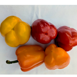 FP - Peppers Mixed - 3 Colors