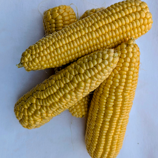 FP - Corn Yellow / Elote