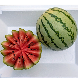 FP - Watermelon