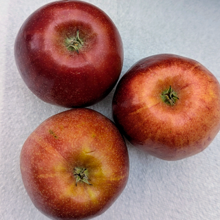 FP - Apple Red