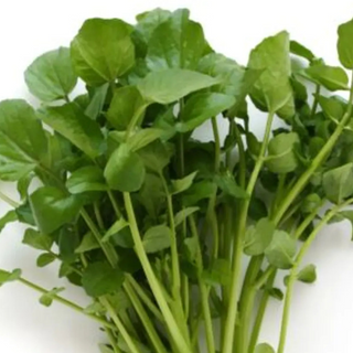 Mountain Cress (50 Grams)