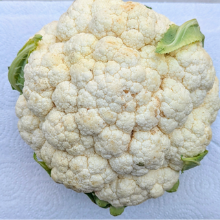 FP - Cauliflour