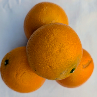 FP - Orange
