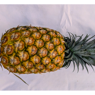 FP - Pineapple