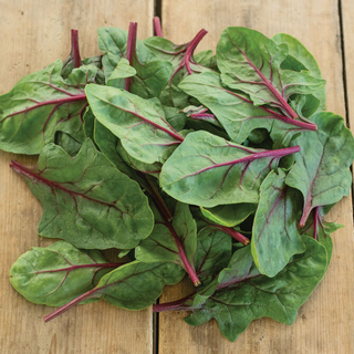 Spinach - Red Tabby (150 Grams) 