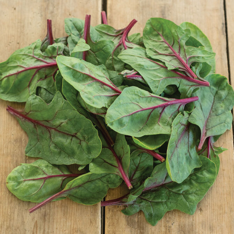 Spinach - Red Tabby (150 Grams) 