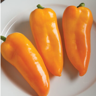 Peppers / Pimientos