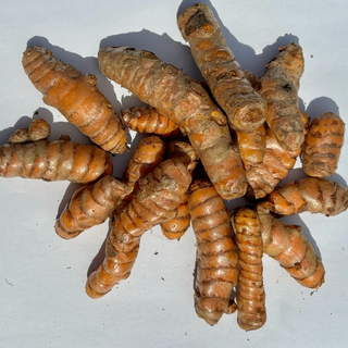 FP - Turmeric