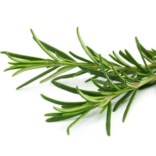 Rosemary (50 Grams)