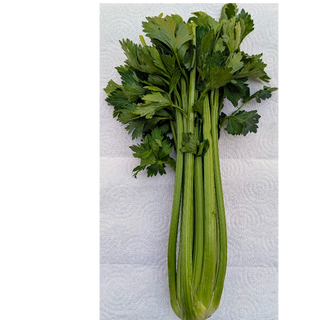 FP - Celery