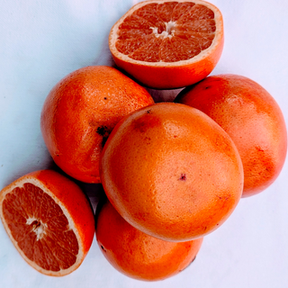 FP - Grapefruit