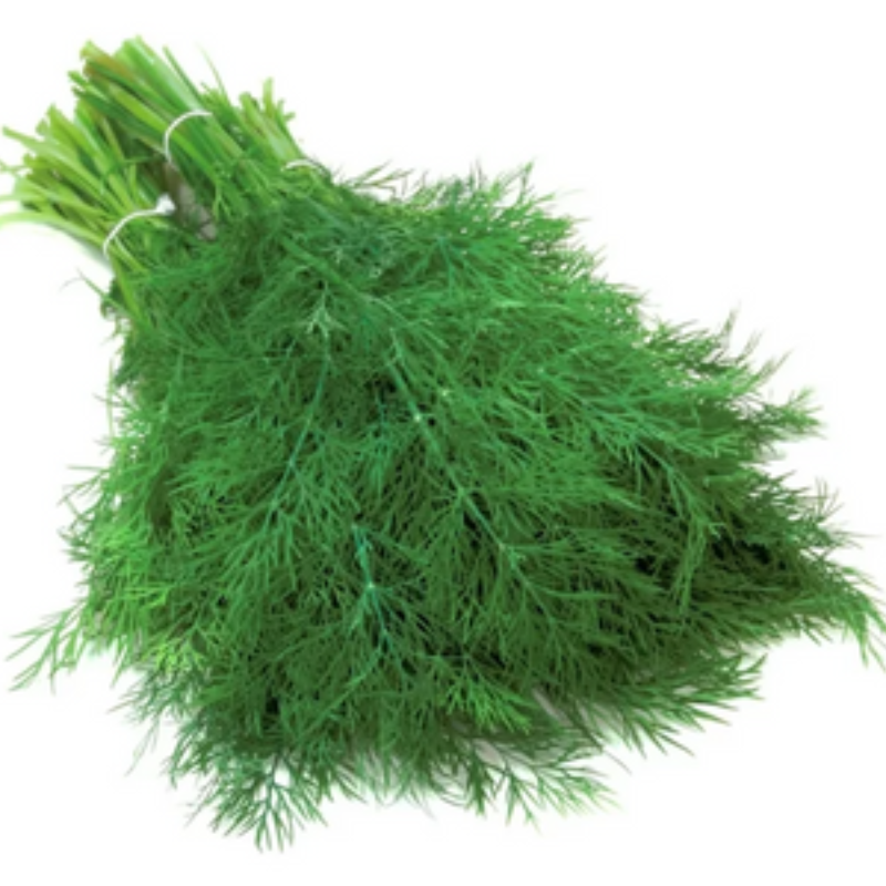 Dill (50 Grams) Main Image