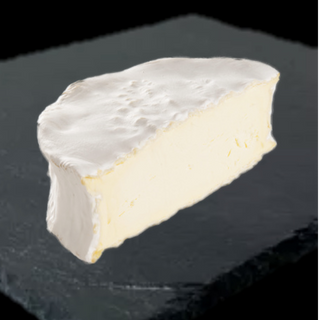 BRILLAT SAVARIN (medio)