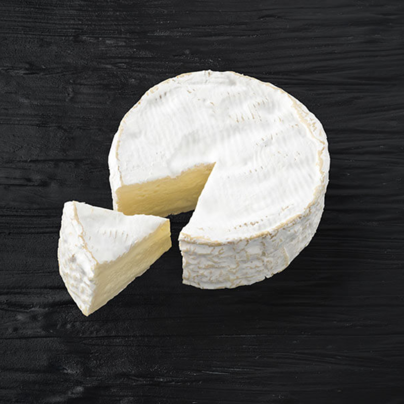 CAMEMBERT Main Image