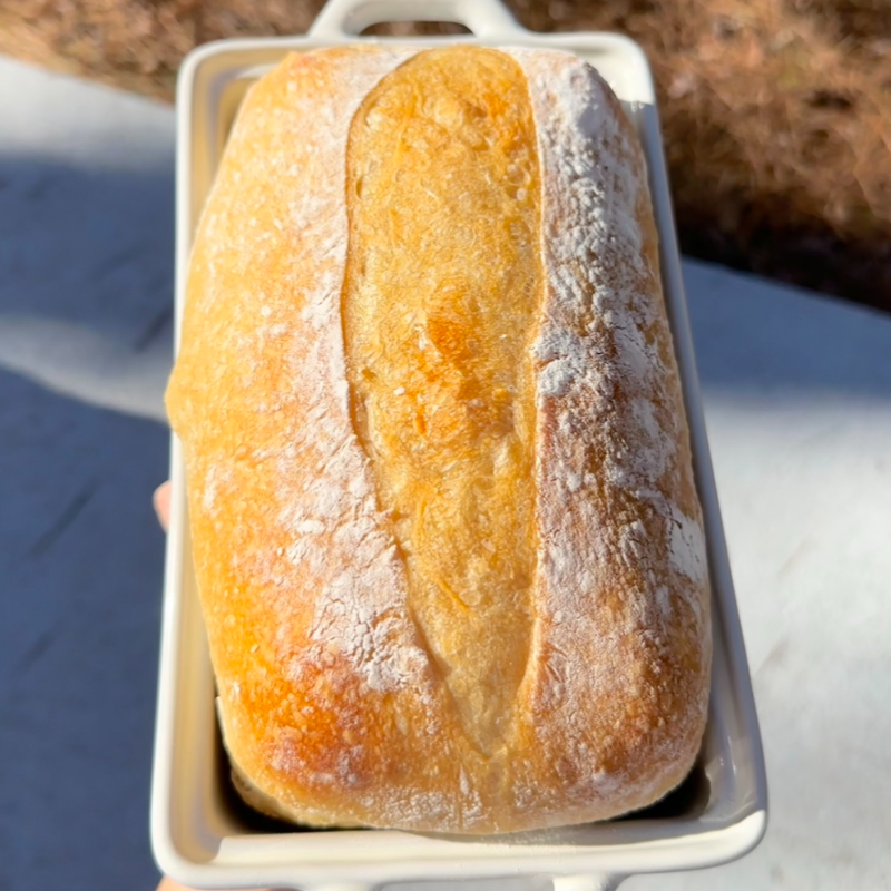 Sourdough Sandwich Bread Main Image