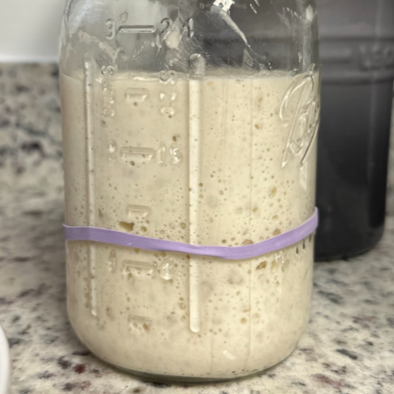 Sourdough Starter Main Image