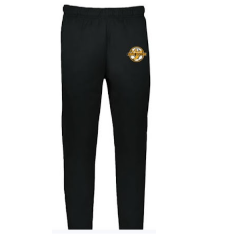 NEW VARSITY PLAYERS ONLY - Warmup Pants Main Image