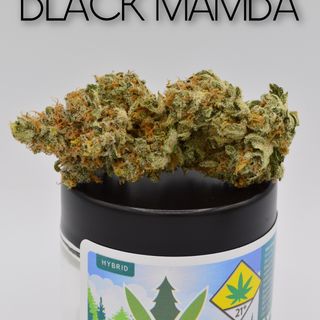 Black Mamba - I 
