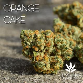 Orange Cake - H